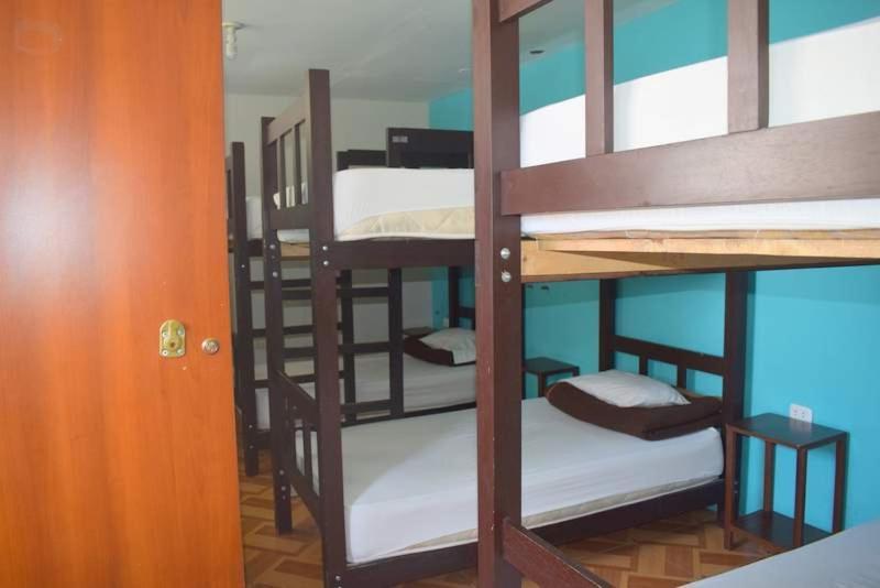 Mango Hostel B&B Arequipa Bagian luar foto
