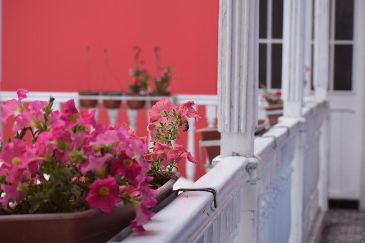 Mango Hostel B&B Arequipa Bagian luar foto
